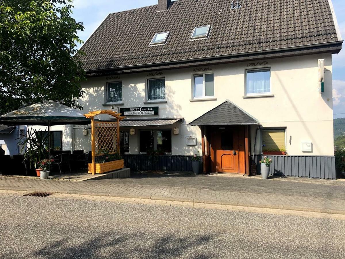 Hotel Garni Zum Adenauer Forst Wimbach Eksteriør billede